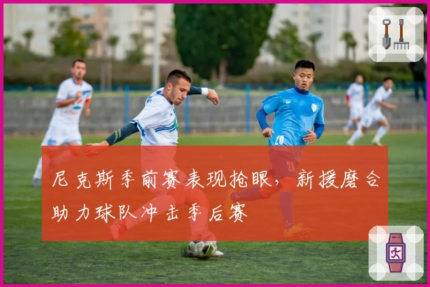 尼克斯季前赛表现抢眼，新援磨合助力球队冲击季后赛