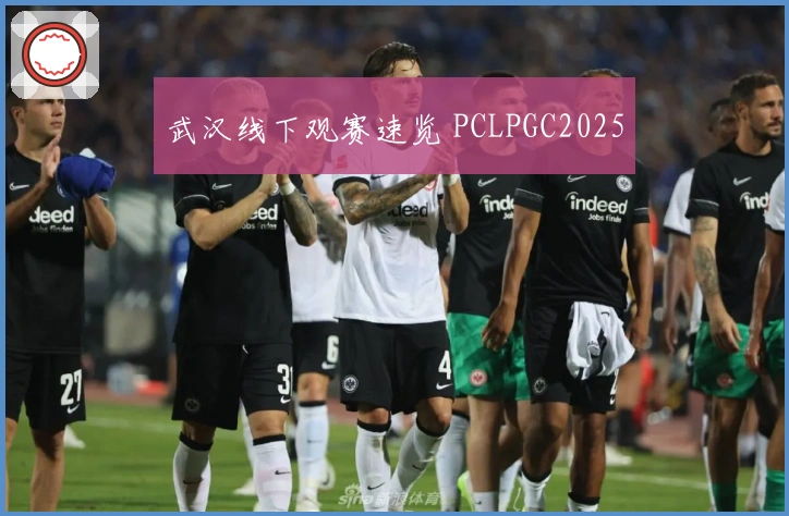 武汉线下观赛速览 PCLPGC2025
